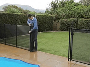 Pool Fence